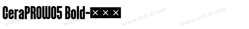 CeraPROW05 Bold字体转换